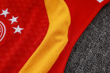 2026/27 Germany Red Vest Training Jersey (A Set)