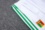 2026/27 Senegal White Jacket Tracksuit