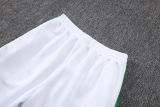 2026/27 Senegal White Jacket Tracksuit