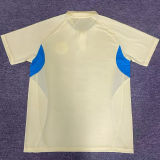 2026/27 Club America Special Edition Fans Soccer Jersey