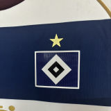 2025/26 Hamburger SV Special Edition Fans Soccer Jersey