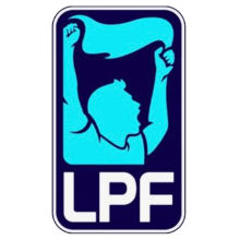 新的 Argentina Superliga Argentina de Fútbol New Patch 阿根廷联赛臂章 (You can buy it Or tell me to print it on the Jersey )