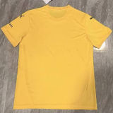 2025/26 Bodo Glimt Home Yellow Fans Soccer Jersey 博德闪耀