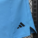 2026/27 AD Casual Short Pants  D334 蓝色