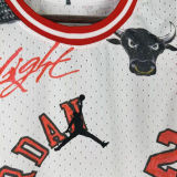 2026/27 Jordan Casual Vest Jersey