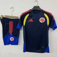 2026/27 Colombia Royal Blue Training Jersey (A Set)
