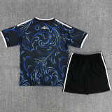 2026/27 Argentina Away kids Soccer Jersey 背后太阳和国名