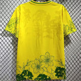 2026/27 Brazil Special Edition Fans Soccer Jersey