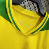 2026/27 Brazil Special Edition Fans Soccer Jersey