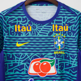 2024 Brazil Blue Training shirts
