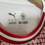 2026 PSV Special Edition Fans Soccer Jersey