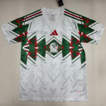 2026/27 Mexico Special Edition Fans Soccer Jersey