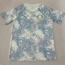 2026/27 Palmeiras Fans Soccer Jersey