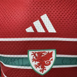 2026/27 Wales Home Red Player Version Soccer Jersey