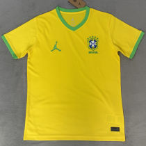 2026/27 Brazil Special Edition Fans Soccer Jersey