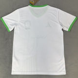 2026/27 Brazil Special Edition Fans Soccer Jersey