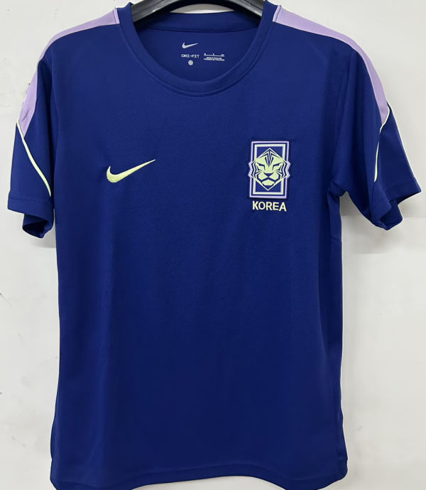 2026/27 South Korea Training Fans Soccer Jersey