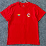 2026/27 Colombia Retro Style Pure Cotton T-Shirt 队微 红色