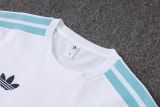 2026/27 Argentina White Training Jersey