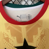 2026/27 Ghana Away Yellow Fans Soccer Jersey (Have Right Patch 有右臂章 黑底白字）