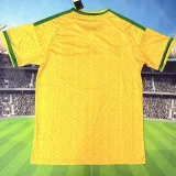 2026/27 South Africa Home Yellow Fans Soccer Jersey