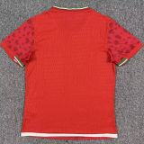 2026/27 Iran Away Red Player Version Soccer Jersey