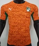 2026/27 Ivory Coast Home Orange Player Version Jersey