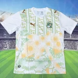 2026/27 Ivory Coast Away Fans Soccer Jersey