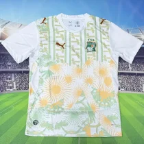 2026/27 Ivory Coast Away Fans Soccer Jersey