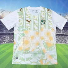 2026/27 Ivory Coast Away Fans Soccer Jersey