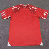 2026/27 Tunisia Home Red Fans Soccer Jersey