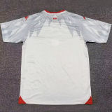 2026/27 Tunisia Away White Fans Soccer Jersey