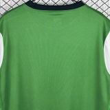 2009/2010 Werder Bremen Home Green White Retro Jersey