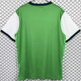2009/2010 Werder Bremen Home Green White Retro Jersey