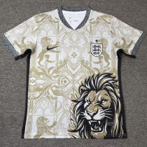 2026/27 England Special Edition Fans Soccer Jersey