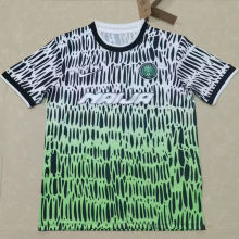 2026/27 Nigeria Special Edition Fans Soccer Jersey