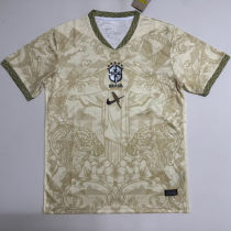 2026/27 Brazil Special Edition Fans Soccer Jersey