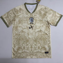 2026/27 Brazil Special Edition Fans Soccer Jersey