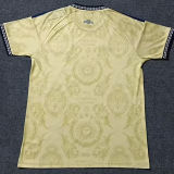 2026/27 Argentina Special Edition Fans Soccer Jersey