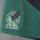 2026/27 Mexico Player Version Shorts Pants A+球员版