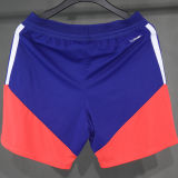 2026/27 Japan Training Player Version Shorts Pants A+球员版