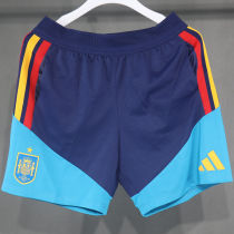 2026/27 Spain Training Player Version Shorts Pants A+球员版
