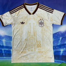 2026/27 Spain Special Edition Fans Soccer Jersey