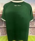 2026/27 Panathinaikos Home Green Fans Jersey  希超 帕纳辛奈科斯