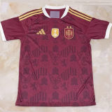 2026/27 Spain Special Edition Fans Soccer Jersey （2 Stars 2星）