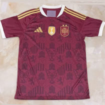 2026/27 Spain Special Edition Fans Soccer Jersey （2 Stars 2星）