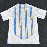 2026/27 Argentina Special Soccer Fans Soccer Jersey