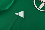 2026/27 AD Green Training Jersey (A Set) AD13