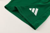 2026/27 AD Green Training Jersey (A Set) AD13
