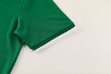 2026/27 AD Green Training Jersey (A Set) AD13